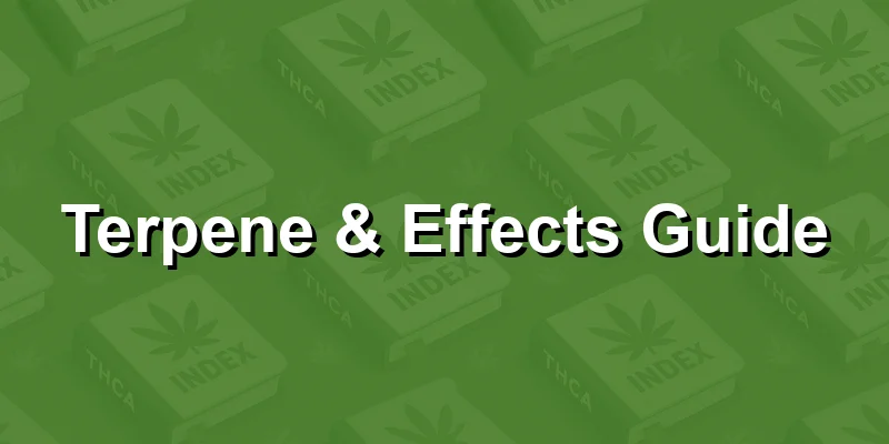 Terpene & Effects Guide