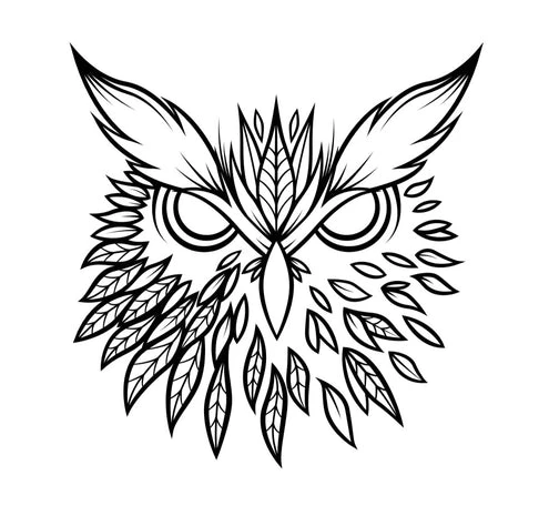 Black Owl Hemp Clinic logo